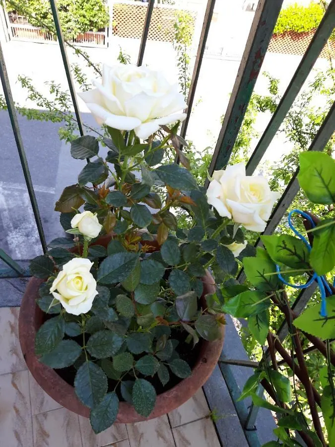 Casa Max Hotel Fucecchio Guest house